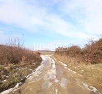 NA PREDAJ: Pozemok 3 000 m² LORINČÍK INVESTIČNÝ POTENCIÁL - Zasnežená poľná cesta a kríky na poľnohospodárskych a lesných pozemkoch v Košiciach II.
