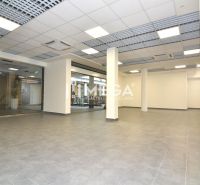 NA PRENÁJOM OBCHODNÝ PRIESTOR 96 m² – BEZ DEPOZITU, TOP CENA - Priestranné obchodné priestory s otvoreným pôdorysom a sklenenými stenami.