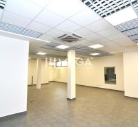 NA PRENÁJOM OBCHODNÝ PRIESTOR 96 m² – BEZ DEPOZITU, TOP CENA - Obchodné priestory s dlažbou a podhľadovým stropom.
