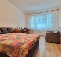 PRIESTRANNÝ BYT NA KARPATSKEJ ULICI, 80M2, SÁSOVÁ - Svetlá izba s posteľou, gaučom, stolom a podlahou s dreveným dekorom v 3-izbovom byte.