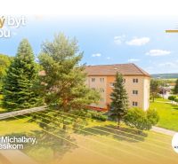 PREDAJ | 2-izb. byt 59 m² + loggia | Š. Michaľany - Zeleň a bytové domy na ulici Pod lesíkom v Šarišských Michaľanoch.