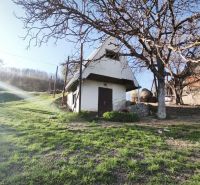 Znížená cena!!! RD (pozemok 9756 m2)  v osade Prieloh, okr. V. Krtíš. - Rodinný dom v ulici Prieloh v Muli s veľkým dvorom a stromami.