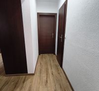 3 izbový kompletne prerobený a zariadený byt na prenájom, Necpaly  - Chodba s podlahou s dreveným dekorom a tmavými dverami v 3-izbovom byte.