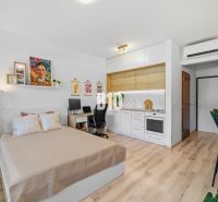 1-IZBOVÝ BYT S VEĽKOU 12 m² TERASOU | SLNEČNICE VILADOMY - 1-izbový byt s podlahou s dreveným dekorom, kuchyňou, posteľou a pracovným stolom.