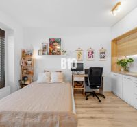 1-IZBOVÝ BYT S VEĽKOU 12 m² TERASOU | SLNEČNICE VILADOMY - Jednoducho zariadený 1-izbový byt s podlahou s dreveným dekorom a praktickým pracovným kútom.