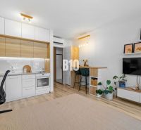 1-IZBOVÝ BYT S VEĽKOU 12 m² TERASOU | SLNEČNICE VILADOMY - 1-izbový byt s kuchyňou, pracovným stolom, TV a podlahou s dreveným dekorom.