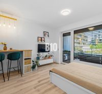 1-IZBOVÝ BYT S VEĽKOU 12 m² TERASOU | SLNEČNICE VILADOMY - 1-izbový byt s podlahou s dreveným dekorom, barový pult a posteľ.