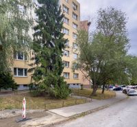 BENADOVA - 4-IZBOVÝ BYT PO KOMPLETNEJ REKONŠTRUKCII, 79 m², LOGGIA  - Ulica Benadová v Košiciach - mestská časť Dargovských hrdinov s bytovým domom a stromami.