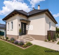 Rodinný DOM priamo v Nitre / bývanie alebo podnikanie? - Rodinný dom v Nitre so záhradou, trávnikom a okrasnými rastlinami pod modrou oblohou.