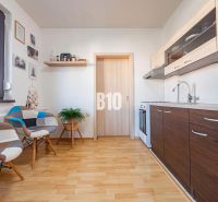 REZERVOVANÉ_1 izb. byt s veľkým balkónom | Klokočina - Nitra - Kuchyňa v 1-izbovom byte s podlahou s dreveným dekorom a moderným nábytkom.