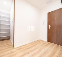 Nový 3 izb. byt s 2x balkónom, Nitra - Chrenová (2026) - Vstupná chodba 3-izbového bytu s podlahou s dreveným dekorom a vstavanou skriňou.