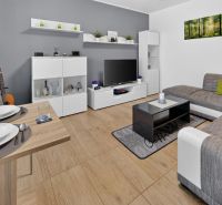 Predaj 2-izbový byt GREEN VILLAGE, loggia, parkovanie, Dunajská Lužná - Obývacia izba v 2-izbovom byte s podlahou s dreveným dekorom a pohodlnou sedačkou.