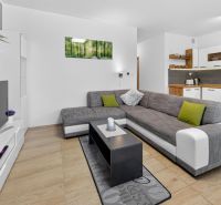 Predaj 2-izbový byt GREEN VILLAGE, loggia, parkovanie, Dunajská Lužná - Obývačka s kuchyňou, sivou sedačkou, televízorom a podlahou s dreveným dekorom v 2-izbovom byte.
