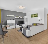 Predaj 2-izbový byt GREEN VILLAGE, loggia, parkovanie, Dunajská Lužná - Obývacia izba v 2-izbovom byte s pohovkou, televízorom a podlahou s dreveným dekorom.