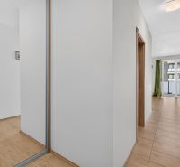 Predaj 2-izbový byt GREEN VILLAGE, loggia, parkovanie, Dunajská Lužná - Chodba v 2-izbovom byte s podlahou s dreveným dekorom a vstavanou skriňou.