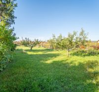 Veľký STAVEBNÝ POZEMOK v centre PEZINKA so zrekonštruovaným domom - Záhradný pozemok rodinného domu na Kupeckého ulici v Pezinku, s ovocnými stromami a trávnikom.