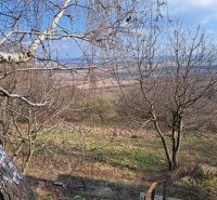 ZĽAVA! Čarovná chata v Malých Karpatoch na slnečnom pozemku - Záhrada pri chate v Dolných Orešanoch s výhľadom na stromy a krajinu.