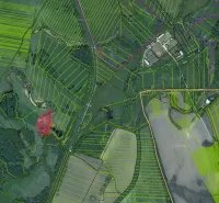 Moravský Svätý Ján – 1.580 m2 LES  - Letecký pohľad na poľnohospodárske a lesné pozemky v okolí Moravského Svätého Jána.