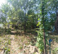 Oáza pokoja a vlastná úroda: Murovaná chatka (17 m²) so záhradou 690 m - Záhrady v Lučenci plné zelených stromov a kríkov pod slnečnou oblohou.