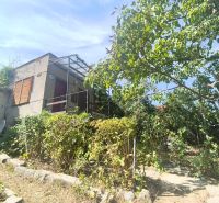 Oáza pokoja a vlastná úroda: Murovaná chatka (17 m²) so záhradou 690 m - Záhrady v Lučenci so záhradnou chatou a stromami, ideálne na relax a pestovanie.
