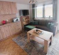 Trojpodlažná rekreačná chata  stredisko Kamenec - Zemplínska Šírava - Obývacia izba na chate s podlahou s dreveným dekorom, sedacou súpravou a stolíkom.