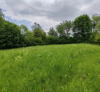 Pozemok na samote s panorámou hradu Čičva — ideálne na dom alebo farmu - Zelené pozemky na bývanie v Tovarnianskej Polianke na Hlavnej ulici obklopené stromami.