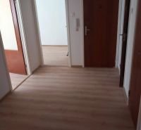 4-izb. byt, Sekurisova, Dúbravka, 3.p./4 s výťahom - Chodba so štyrmi dverami a podlahou s dreveným dekorom v 4-izbovom byte.