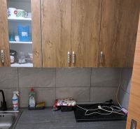 Garzónka, Rybničná ul., BA III - Vajnory - Kuchyňa s drevenými skrinkami, drezom a pracovnou doskou v garsónke.