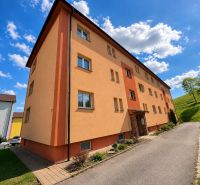 3-IZBOVÝ BYT PO KOMPLETNEJ REKONŠTRUKCII, ISTEBNÉ, ZARIADENÝ, 2 PIVNIC - Exteriér 3-izbového bytu v Istebnom, farebná fasáda, modrá obloha, zelený trávnik.