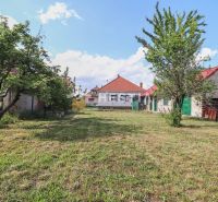 Rodinný dom Borský Mikuláš - Pozemok pri rodinnom dome v Borskom Mikuláši s trávnikom a ovocnými stromami.
