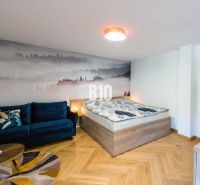 Investičný APARTMÁN v centre Terchovej - Rekreačný apartmán s pohovkou, posteľou a podlahou s dreveným dekorom.
