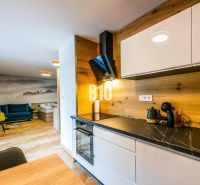Investičný APARTMÁN v centre Terchovej - Kuchyňa s dreveným dekorom, pohovkou a umeleckou stenou v Rekreačnom apartmáne.