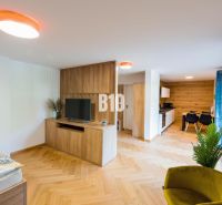 Investičný APARTMÁN v centre Terchovej - Interiér rekreačného apartmánu s podlahou s dreveným dekorom, televíziou a kuchynským kútom.