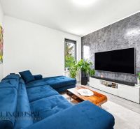Na predaj veľkom. 3-i. byt s terasou , BA – Na piesku - Obývacia izba v 3-izbovom byte s rozkladacou sedačkou, TV a rastlinami.