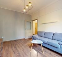 Priestranný 2i byt v obklopení zelene len pár krokov od OC Nivy | 53m² - Obývacia izba v 2-izbovom byte s pohovkou a podlahou s dreveným dekorom.