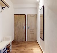 Priestranný 2i byt v obklopení zelene len pár krokov od OC Nivy | 53m² - Chodba s podlahou s dreveným dekorom, zrkadlom a vešiakovou stenou v 2-izbovom byte.
