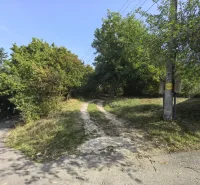 Kolačno – 90 m2 INVESTIČNÝ pozemok v obci - Predaj - Viditeľný rozvetvený chodník v záhradách Kolačna obklopený zeleňou a elektrickým stĺpom.