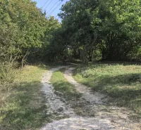 Kolačno – 90 m2 INVESTIČNÝ pozemok v obci - Predaj - Lesná cesta v záhradách Kolačna obklopená stromami a kríkmi pod modrou oblohou.