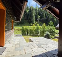 Útulná 4i chalupa pri potoku – Jarabá, Nízke Tatry - Chata v Jarabej s kamennou terasou obklopená lesnatou krajinou.