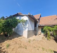 RD Otrokovce 1071m pozemok - Rodinný dom v Dolných Otrokovciach s bielou omietkou a škridlou, zelené rastliny na záhrade.