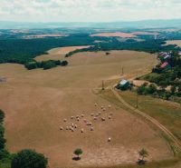 POZEMOK NA VÝSTAVBU PODHRADIE - Krajina v Podhradí s pastvinami a ovcami na predaj, vhodná na Pozemky - bývanie.