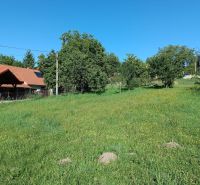 Rodinný dom na predaj – Veľká Lehota (okres Žarnovica) - Záhrada pri rodinnom dome vo Veľkej Lehote s trávnikom a ovocnými stromami.