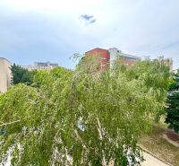 Na predaj úplne nový 1i byt od architekta v tichej časti Dúbravky - Pohľad na zelené stromy v Bratislava - Dúbravka, Sekurisova, obklopené obytnými budovami.