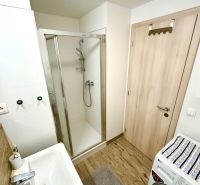 Fuxova: Prenájom 1i bytu na vysokom poschodi/eng. text inside - Kúpeľňa s umývadlom, sprchovacím kútom, práčkou a podlahou s dreveným dekorom v 1-izbovom byte.