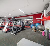 Na predaj PRIESTRANNÉ FITNESS CENTRUM na LUKRATÍVNEJ ADRESE RUŽINOVA - Fitness centrum s bežeckými pásmi a cvičebnými pomôckami v obchodných priestoroch.