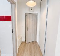 Zariadený 1-izbový byt na predaj, Podunajské Biskupice - Chodba s podlahou s dreveným dekorom, vešiakom a preskleným šatníkom v 1-izbovom byte.