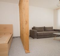 Prenájom 1-izb.bytu s loggiou, Staré mesto- Branisková - 1-izbový byt so sedačkou, posteľou a dreveným predelom, svetlá miestnosť.