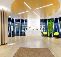 Kancelárie od 25,7 m² s parkovaním, recepcia 24/7 – Košická ul., Nivy - Kancelárie s dreveným dekorom, farebnými stoličkami a zelenou stenou.