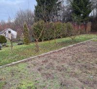 Záhrada Levice - Podhradie 311m2 - Záhrada na Podhradí v Leviciach s ovocnými stromami a ihličnany. Jesenné lístie na zemi.
