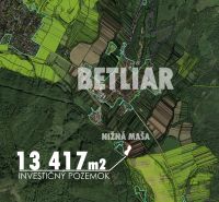 Investičný pozemok +projekt s potenciálom prvého slovenského kaviáru - Mapa investičného pozemku s rozlohou 13 417 m² v Betliari.